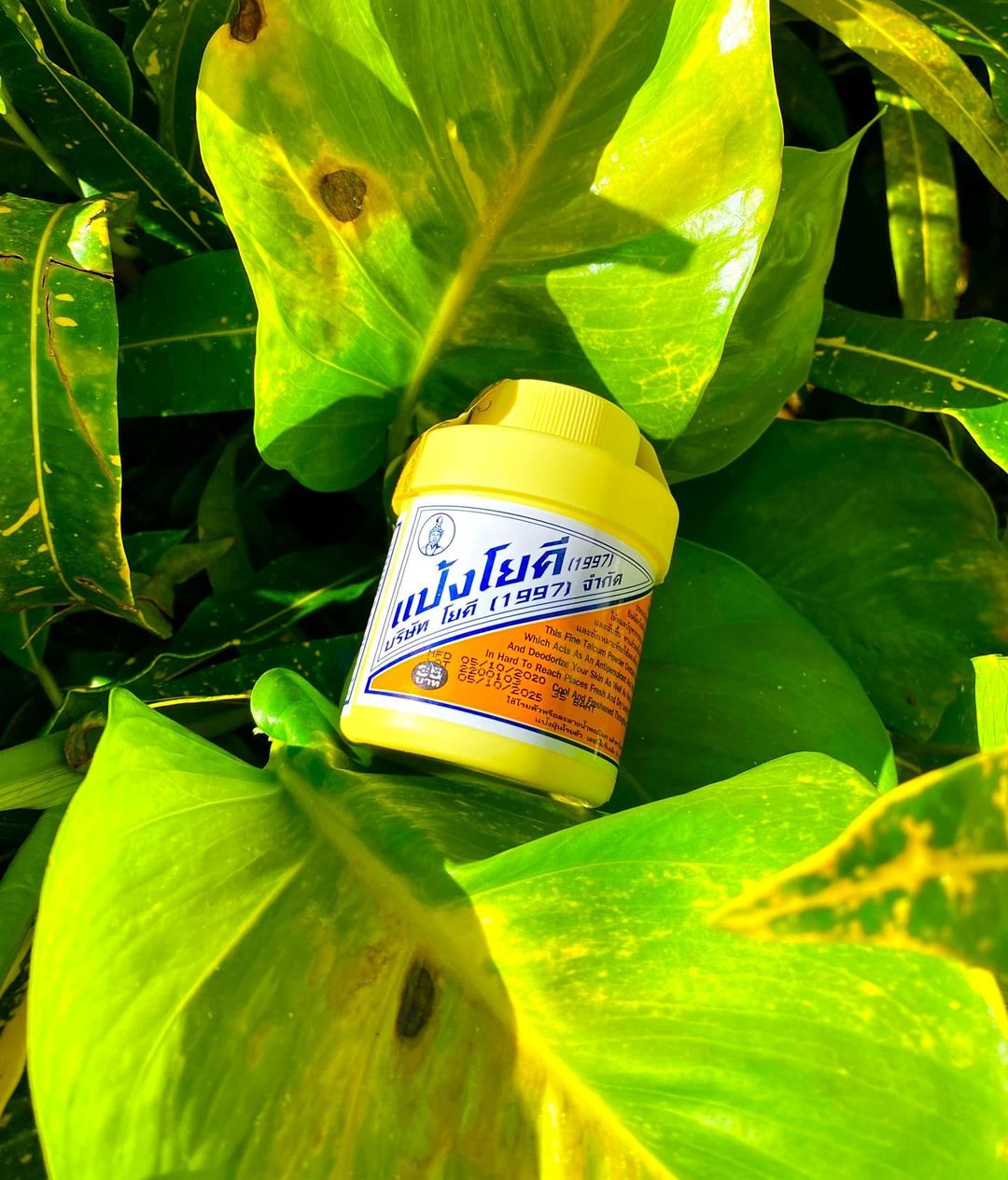 Антибактериальный тальк из ТАЙЛАНДА Yoki против неприятного запаха 60 гр. Таиланд