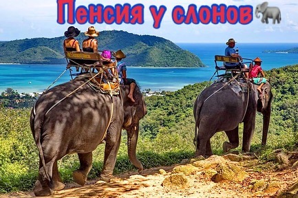 Пенсия у Тайский слонов и 2 Новых Года в Таиланде