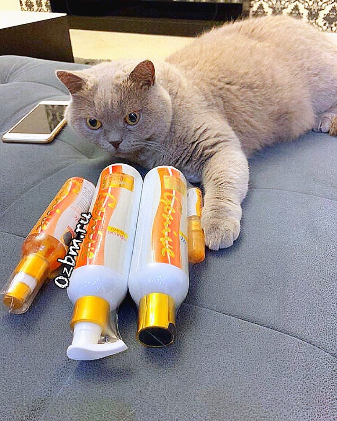 Шампунь из Таиланда для роста волос Genive Shampoo 3 times longer in 7 days ТАЙЛАНД